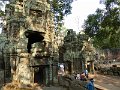 Angkor Ta Prohm P0170